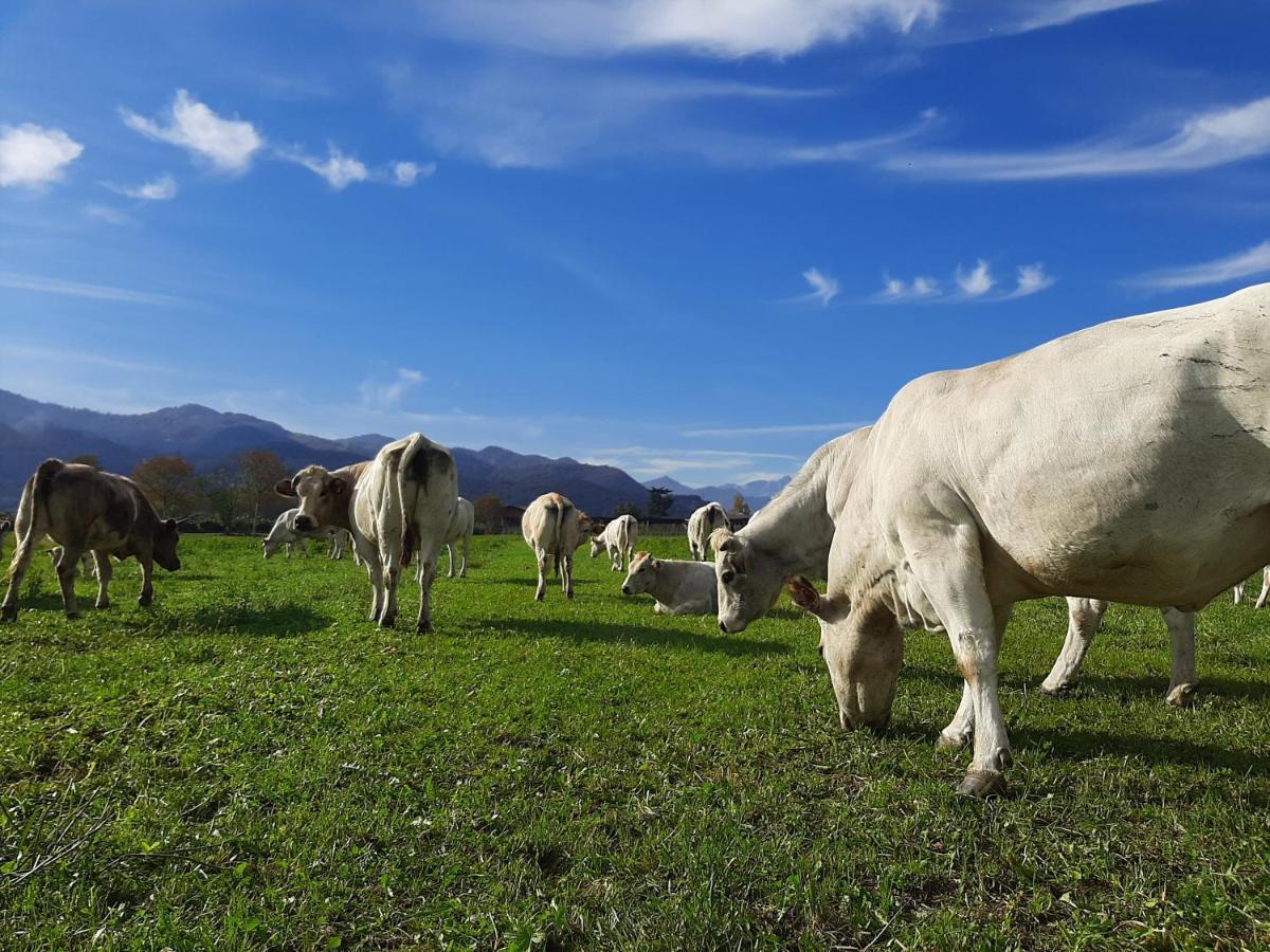 Agriturismo Fior Di Campo Dronero Dış mekan fotoğraf