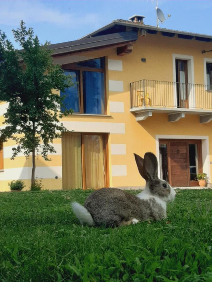 Agriturismo Fior Di Campo Dronero Dış mekan fotoğraf