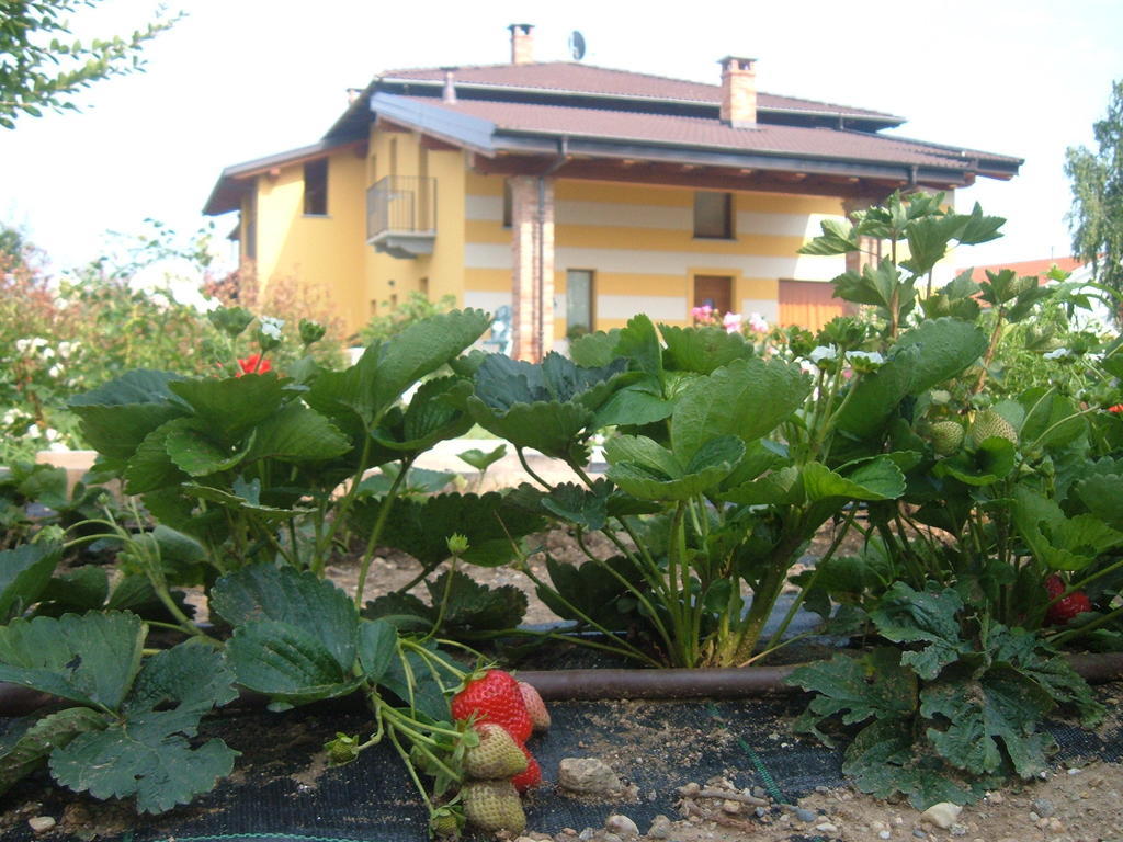 Agriturismo Fior Di Campo Dronero Dış mekan fotoğraf